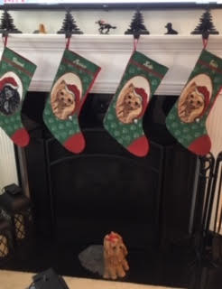 Yorkshire Terrier Personalized Christmas Stocking