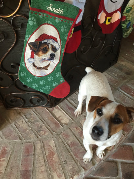 Jack Russell Terrier Personalized Christmas Stocking