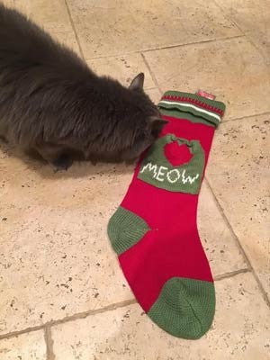 Cat Christmas Stocking