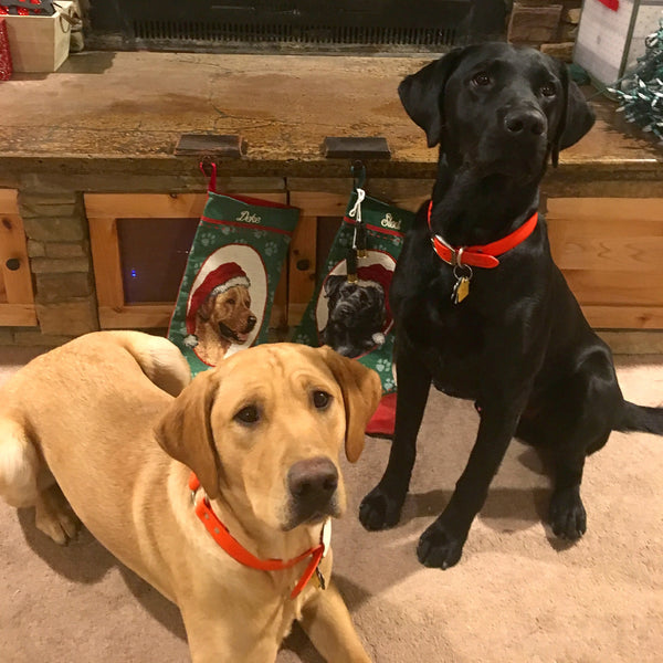 Labrador Retriever Yellow Personalized Christmas Stocking